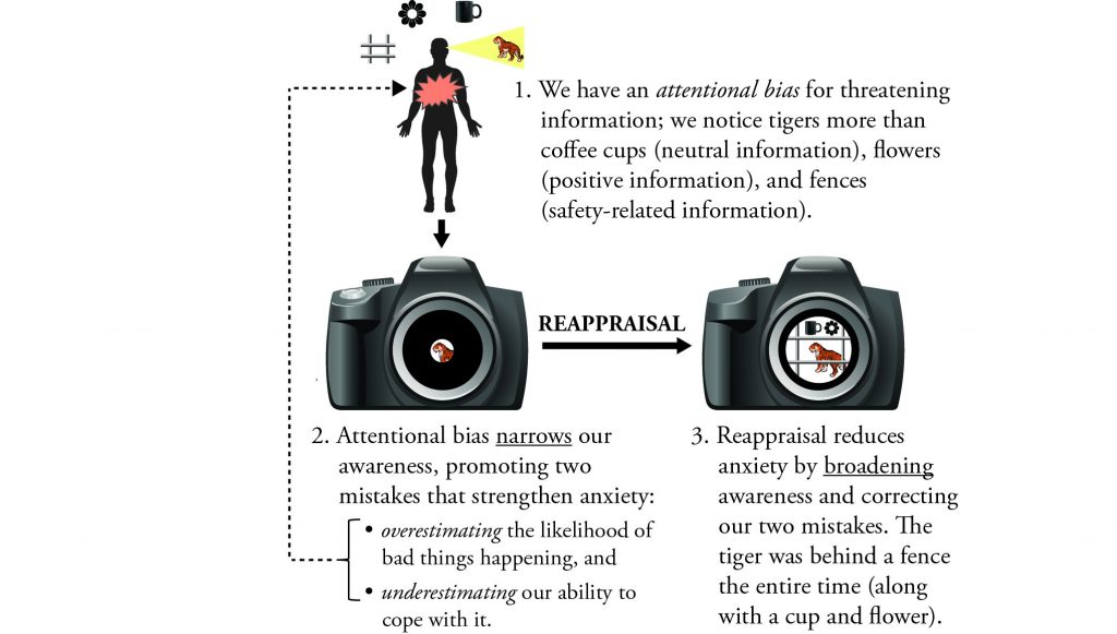 attentional-bias_reappraisal