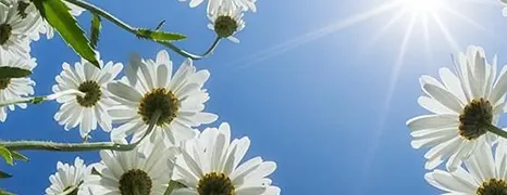 Passive Versus Active Avoidance