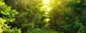 Cost #1: Avoidance Keeps Us Anxious